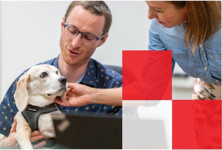 A man and woman lovingly pet a dog while sitting in front of a laptop, creating a cozy and joyful atmosphere