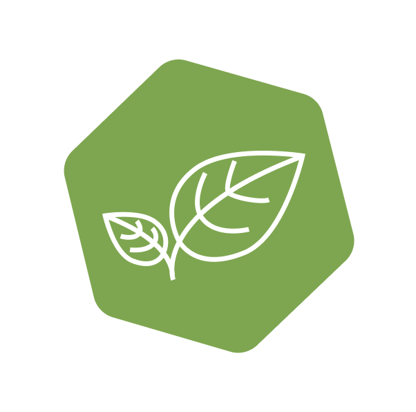 leaf icon