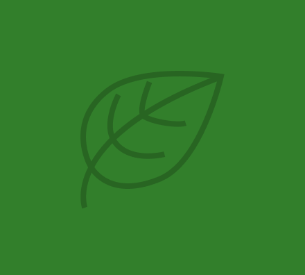 leaf icon