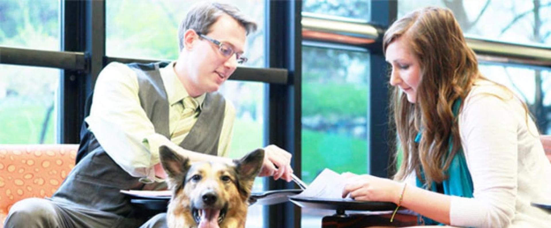 A man with a dog indicates with a pen at documents to a woman