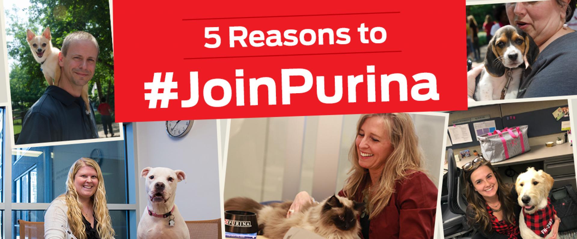 5 Reasons to Join Purina