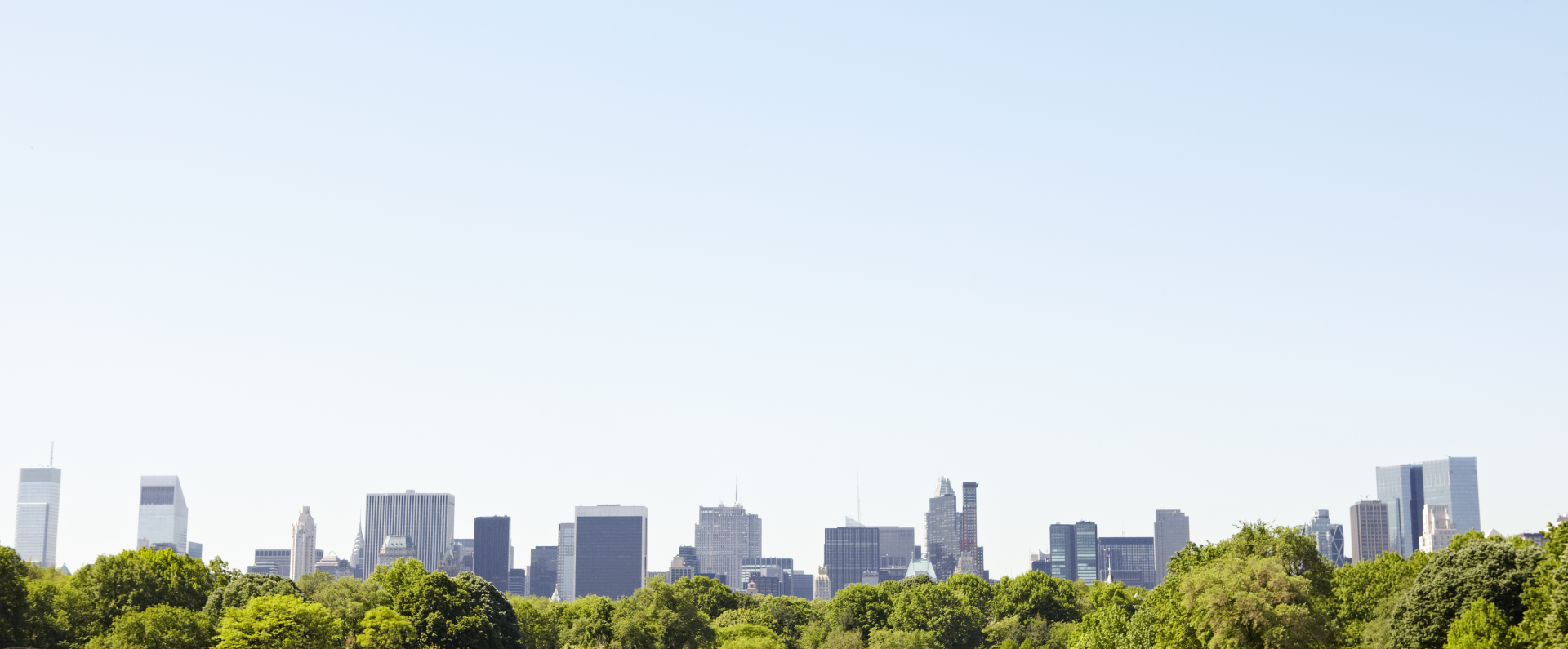 ny cityscape