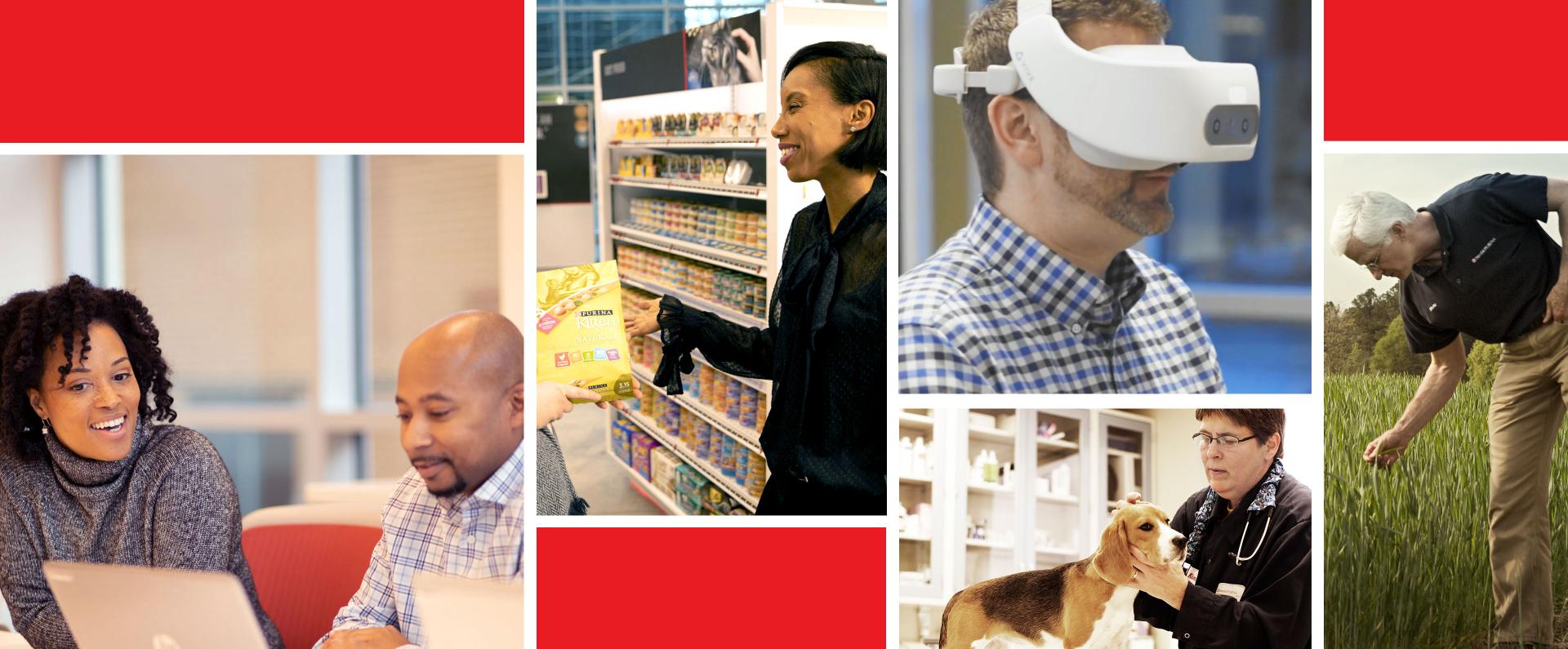 NPPC Header Collage